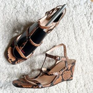 J. Crew: Elegant Brown Black Faux Snake Skin Leather T-Strap Wedge Sandals Sz 7